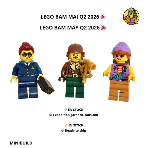 Lego minifigures bam - bam, mai