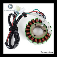 Stator Allumage pour KTM 350