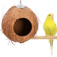  Noce Di Cocco Per Pappagalli