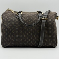 Borsa Louis Vuitton Monogram