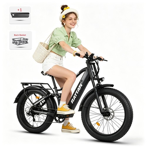 Bicicletta elettrica 18ah - elettrica, 26''18ah