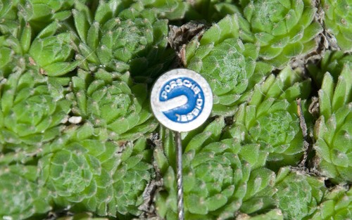 Pin pulsante trattore - pin,