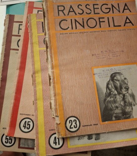 Lotto numeri originali - numeri,