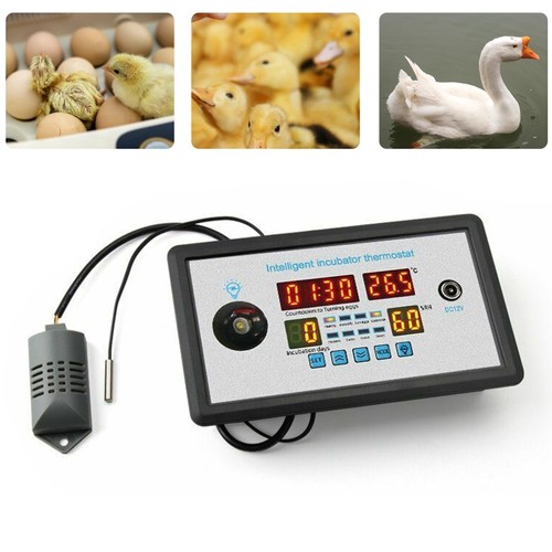 Termostato incubatrice smart - termostato,