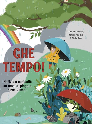 Che tempo notizie - notizie, e