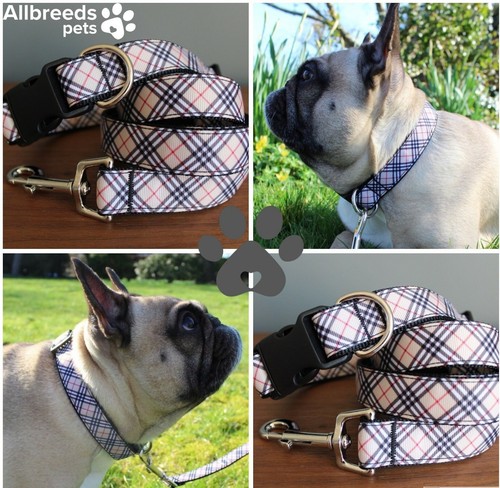 Allbreeds collare guinzaglio - collare, e