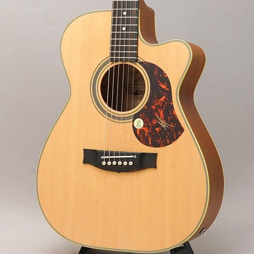 Maton ebg808c tommy - maton, te