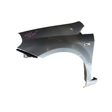 Parafango ANT SX Fiat - Punto