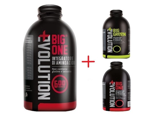 Big one evolution 600 - one,