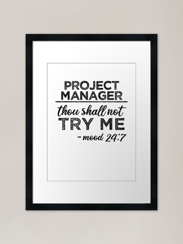 Project manager non proverai - manager:,