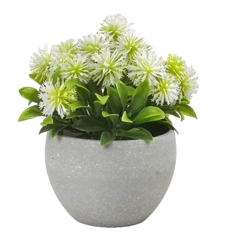 Pianta con vaso grigio - con,