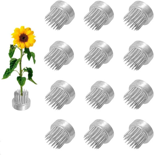 Pezzi rana fiore 0 9 - 12,