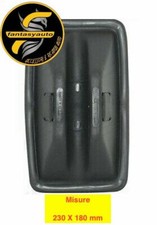 Om 40 Leoncino Tigrotto