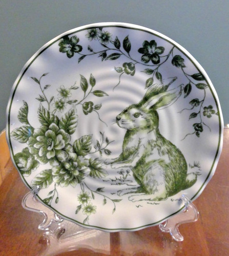 Maxcera green toile - maxcera,