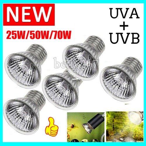 Lampadina 75w uva uvb - 25/50/75w, uva+uvb