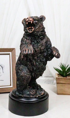 Western black bear - bear, rear
