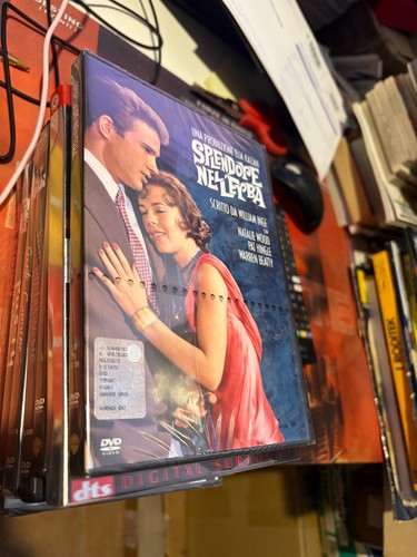 Scb dvd splendore - dvd,