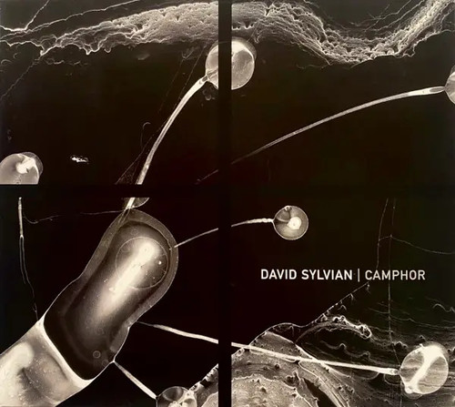 David sylvian camphor - cd,