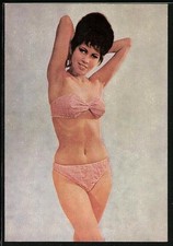 AK Pin-Up In Bikini Che