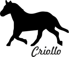 2 adesivi auto CRIOLLO cavallo