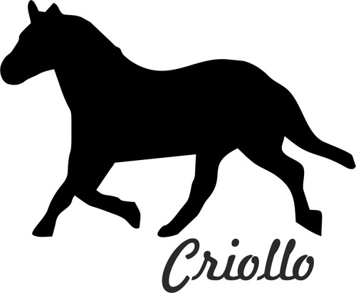 Adesivi auto criollo cavallo - adesivi,