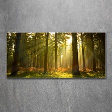 Quadro in vetro quadri da