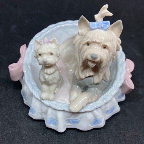 Lladro cani gatti nastri - cani,