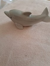 Statunine Delfino E Cane In