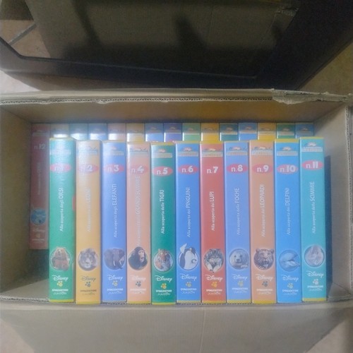 Lotto vhs magico mondo - 26, -il