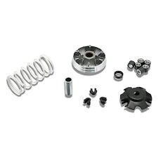 Variatore Malossi Multivar per