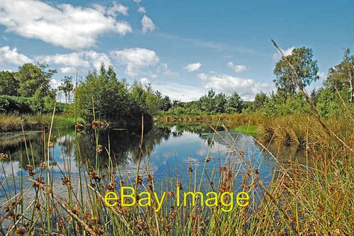 Photo 6x4 pond - on, bellart
