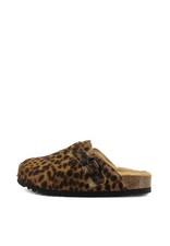 SCHOLL SABOT FAE NEW MACULATO