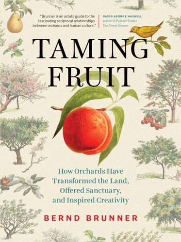 Taming fruit bernd - fruit, brunner