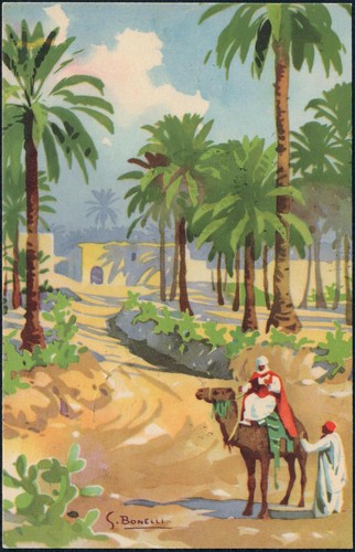 Cartolina oasi tripoli - oasi,