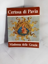 Certosa di Pavia Madonna delle