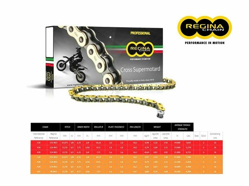 Catena regina 124rx3 passo 420 - regina,