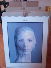 Calendari Pirelli mai