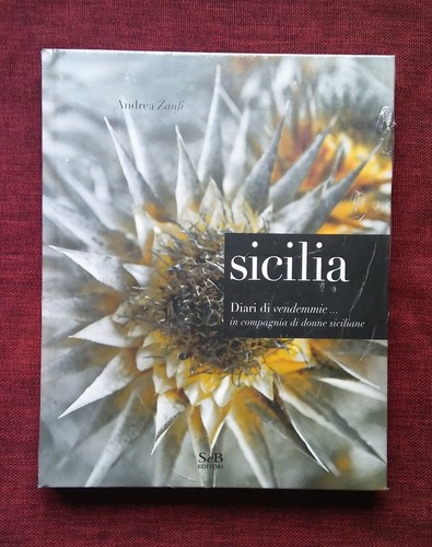Sicilia diari vendemmie - di,