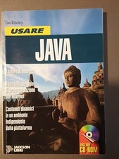 Libro USARE JAVA - RITCHEY EDIZIONI JACKSON - senza cd rom