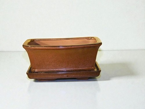 Vaso per bonsai arancio - , azteco