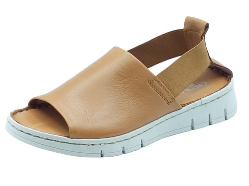 Grunland gita sa1199 terra - sa1199,