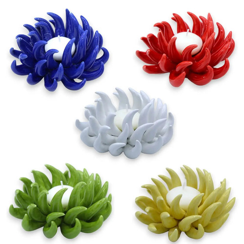 Anemone mare portacandela - di,