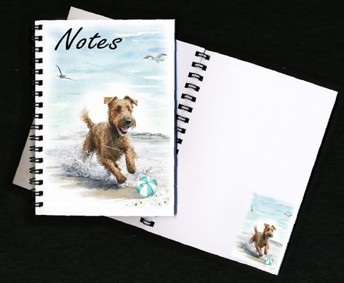Irish terrier dog - terrier,