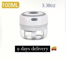 Tritatutto Elettrico Mini Frullatore Robot 100ML Ricaricabile USB con 2 Lame