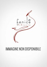 Macchine dinamo-elettrice a