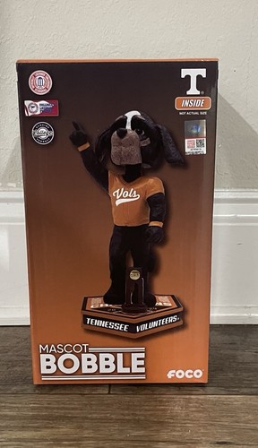 Tennessee volunteers 2024 - volunteers,