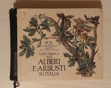 Guida pratica agli alberi e