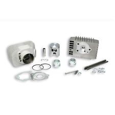 GRUPPO TERMICO MALOSSI 317523