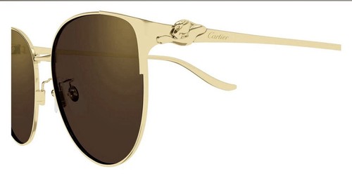 Cartier ct0632sa - cartier,