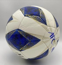 Pallone da calcio ufficiale